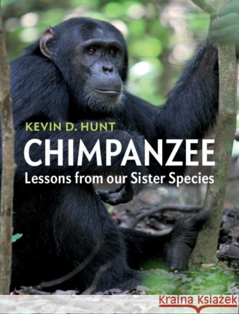 Chimpanzee: Lessons from Our Sister Species Kevin D. Hunt 9781107544413 Cambridge University Press - książka