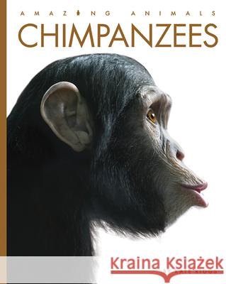 Chimpanzees Kate Riggs 9781640265097 Creative Education - książka