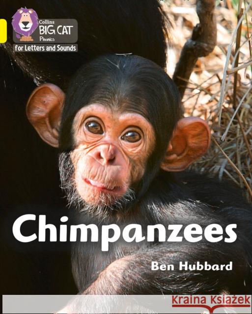 Chimpanzees: Band 03/Yellow Hubbard, Ben 9780008357726 HarperCollins Publishers - książka