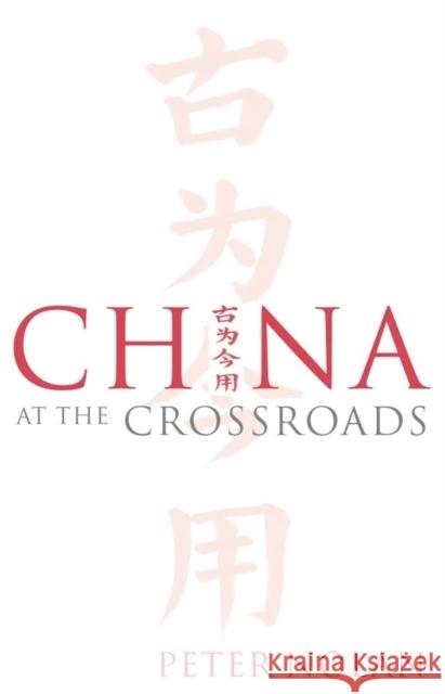 China at the Crossroads Peter Nolan Peter Nolan 9780745632384 Polity Press - książka