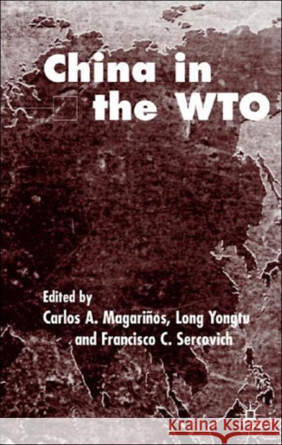 China in the Wto: The Birth of a New Catching-Up Strategy Magariños, C. 9780333999301 PALGRAVE MACMILLAN - książka