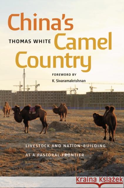 China's Camel Country: Livestock and Nation-Building at a Pastoral Frontier Thomas White 9780295752433 University of Washington Press - książka