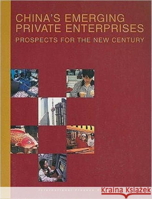 China's Emerging Private Enterprises: Prospects for the New Century Wagle, Dileep M. 9780821348499 WORLD BANK PUBLICATIONS - książka
