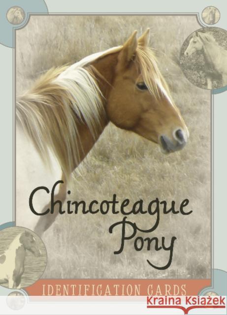 Chincoteague Pony Identification Cards Lois Szymanski Linda Kantjas 9780764344534 Schiffer Publishing - książka