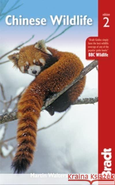 Chinese Wildlife Martin Walters 9781784778880 Bradt Travel Guides - książka