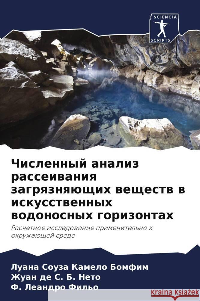 Chislennyj analiz rasseiwaniq zagrqznqüschih weschestw w iskusstwennyh wodonosnyh gorizontah Souza Kamelo Bomfim, Luana, de S. B. Neto, Zhuan, Leandro Fil'o, F. 9786206343233 Sciencia Scripts - książka