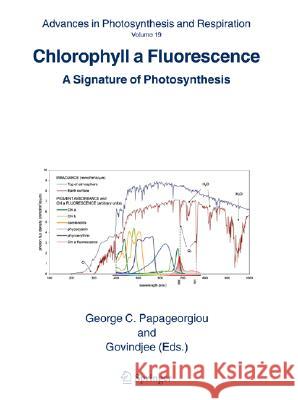 Chlorophyll a Fluorescence: A Signature of Photosynthesis George C. Papageorgiou Govindjee 9781402032172 Springer - książka