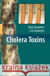 Cholera Toxins Keya Chaudhuri S. N. Chatterjee 9783642100116 Not Avail - książka