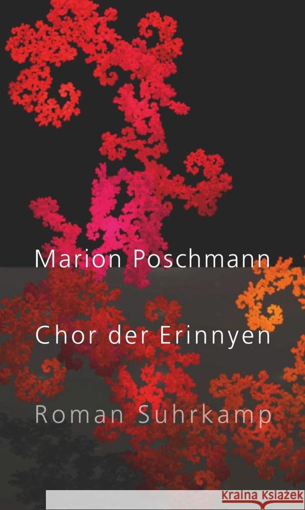 Chor der Erinnyen Poschmann, Marion 9783518431412 Suhrkamp - książka