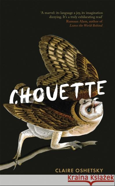 Chouette Claire Oshetsky 9780349014913 Little, Brown Book Group - książka