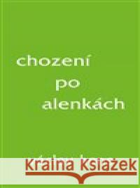 Chození po alenkách Václav Hons 9788087573334 Radix - książka