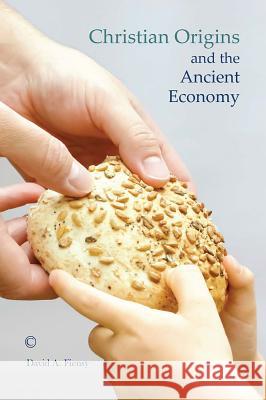 Christian Origins and the Ancient Economy David a. Fiensy 9780227174760 James Clarke Company - książka