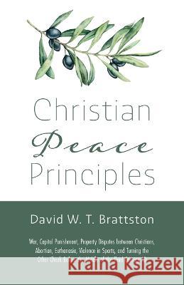 Christian Peace Principles David W T Brattston 9781666772364 Wipf & Stock Publishers - książka