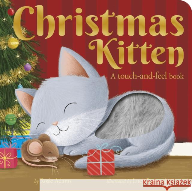 Christmas Kitten: A touch-and-feel book Rosie Adams, Lucy Barnard 9781664350267 Tiger Tales - książka
