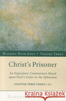 Christ's Prisoner Robert B. Callahan Benjamin W. Farley Kelly Brown Douglas 9781608996476 Resource Publications (OR) - książka