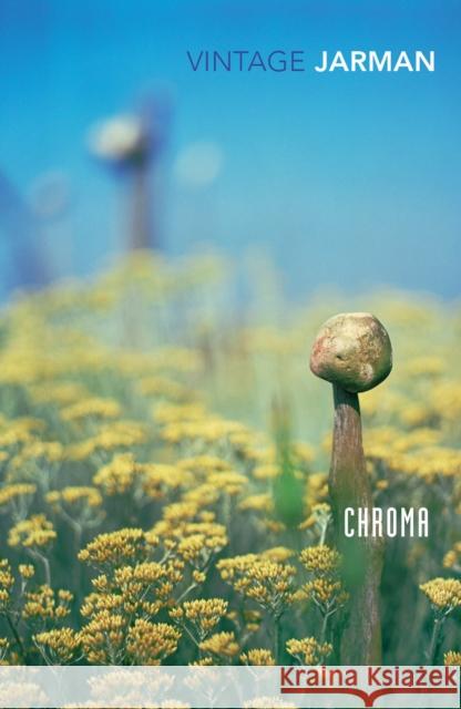 Chroma: A Book of Colour - June '93 Derek Jarman 9780099474913 Vintage Publishing - książka