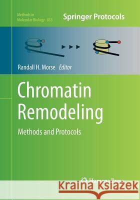 Chromatin Remodeling: Methods and Protocols Morse, Randall H. 9781493962136 Humana Press - książka