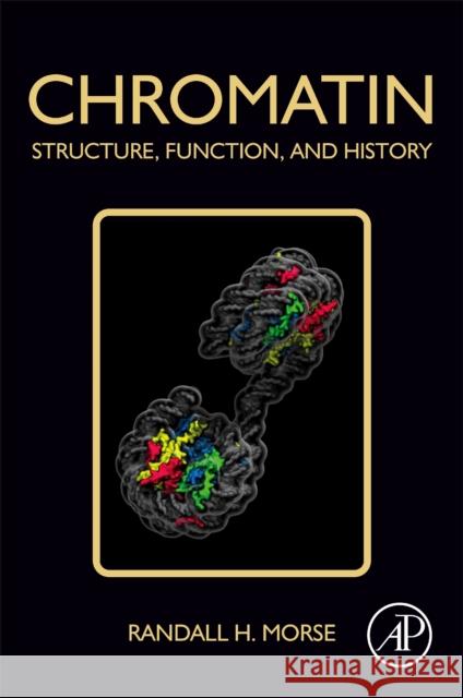 Chromatin: Structure, Function, and History Randall H. (Chief, Laboratory of Molecular Genetics, Wadsworth Center, NY State Department of Health and Professor, Depa 9780128148099 Elsevier Science Publishing Co Inc - książka