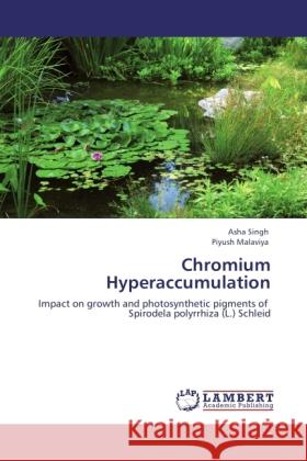 Chromium Hyperaccumulation Singh, Asha, Malaviya, Piyush 9783845444031 LAP Lambert Academic Publishing - książka