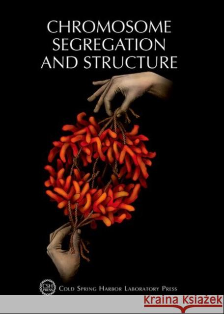 Chromosome Segregation & Structure: Cold Spring Harbor Symposium on Quantitative Biology, Volume LXXXII Terri Grodzicker David Stewart Bruce Stillman 9781621822875 Cold Spring Harbor Laboratory Press - książka