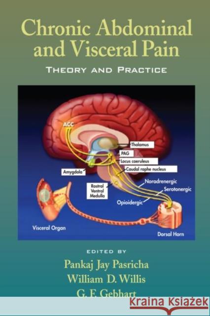 Chronic Abdominal and Visceral Pain: Theory and Practice Pasricha, Pankaj Jay 9780849328978 Informa Healthcare - książka