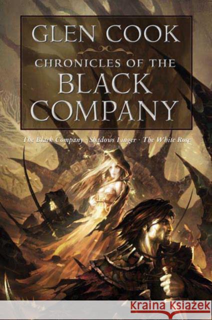 Chronicles of the Black Company Glen Cook 9780765319234 Tor Books - książka