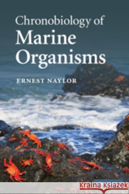 Chronobiology of Marine Organisms Ernest Naylor 9780521760539  - książka