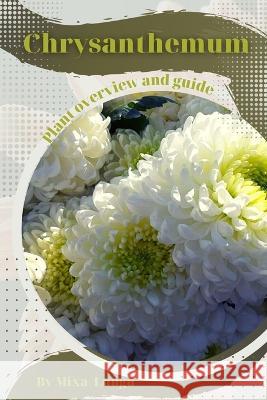 Chrysanthemum: Plant overview and guide Mixa Lungu   9798394878459 Independently Published - książka