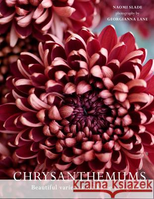 Chrysanthemums: Beautiful Varieties for Home and Garden Georgianna Lane 9780008662738 HarperCollins Publishers - książka