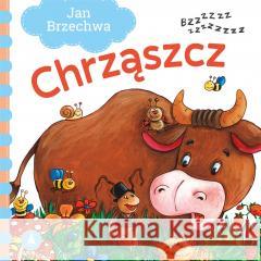 Chrząszcz Jan Brzechwa 9788382074598 Skrzat - książka
