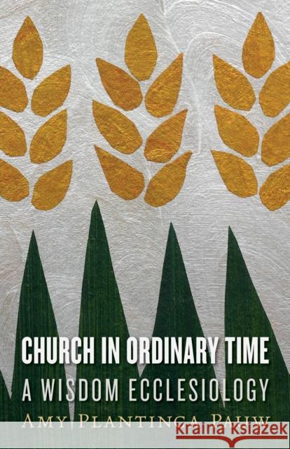 Church in Ordinary Time: A Wisdom Ecclesiology Amy Plantinga Pauw 9780802871862 William B. Eerdmans Publishing Company - książka