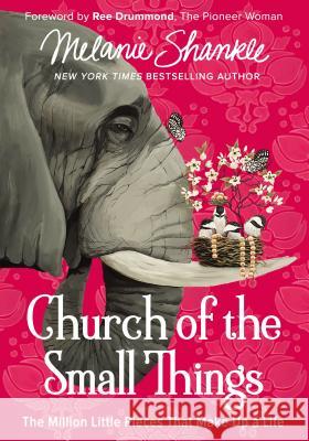 Church of the Small Things The Million Little Pieces That Make up a Life Shankle, Melanie 9780310351030  - książka