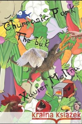 Churrasic Park Xavier Molina, Ayshe Molina 9798740599397 Independently Published - książka