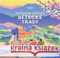 Úchvatné světové běžecké trasy  9788025626849 Svojtka & Co. - książka