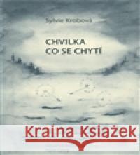 Chvilka co se chytí Pavel Černý 8590878681903 Krobová Sylvie - książka