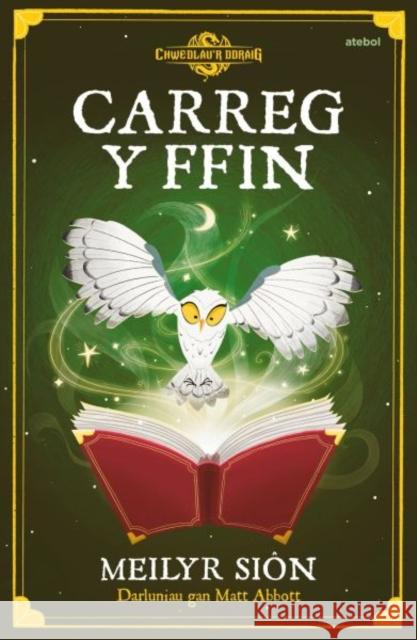 Chwedlau'r Ddraig: Carreg y Ffin Meilyr Sion 9781801064392 Atebol Cyfyngedig - książka