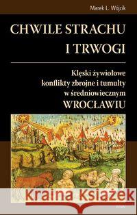 Chwile strachu i trwogi Wójcik Marek L. 9788389802699 WAW - książka