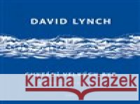 Chytání velkých ryb David Lynch 9788076901292 Dybbuk - książka