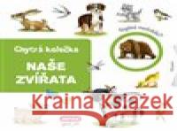 Chytrá kolečka - Naše zvířata Jana Navrátilová 9788075475138 Infoa - książka