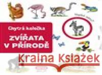 Chytrá kolečka - Zvířata v přírodě Jana Navrátilová 9788075475145 Infoa - książka