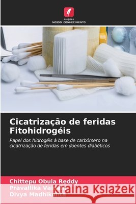 Cicatriza??o de feridas Fitohidrog?is Chittepu Obula Reddy Pravallika Vaidehi Divya Madhikunta 9786630193442 Edicoes Nosso Conhecimento - książka