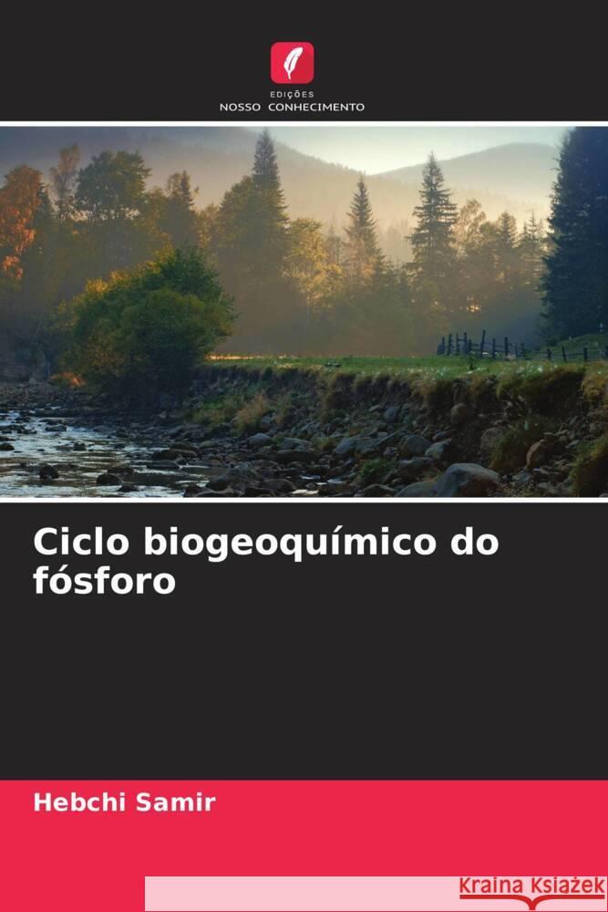 Ciclo biogeoquímico do fósforo Samir, Hebchi 9786204359526 Edicoes Nosso Conhecimento - książka