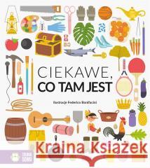 Ciekawe, co tam jest Magda Gargulakova, Federico Bonifacini, Joanna Li 9788382993295 Zielona Sowa - książka