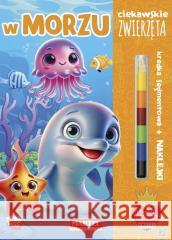 Ciekawskie zwierzęta w morzu z kredką i naklejkami Katarzyna Salamon 9788367900362 Martel - książka