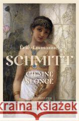 Ciemne słońce Eric-Emmanuel Schmitt 9788324098941 Literanova - książka