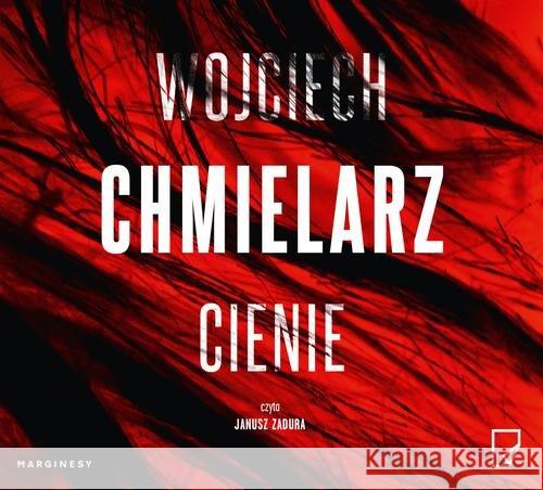 Cienie audiobook Chmielarz Wojciech 9788366335202 Marginesy - książka