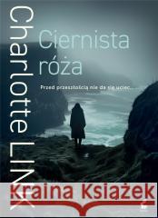 Ciernista róża w.3 Charlotte Link 9788382308389 Sonia Draga - książka