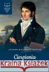 Cierpienia młodego Wertera TW Johann Wolfgang Goethe 9788382226676 SBM - książka