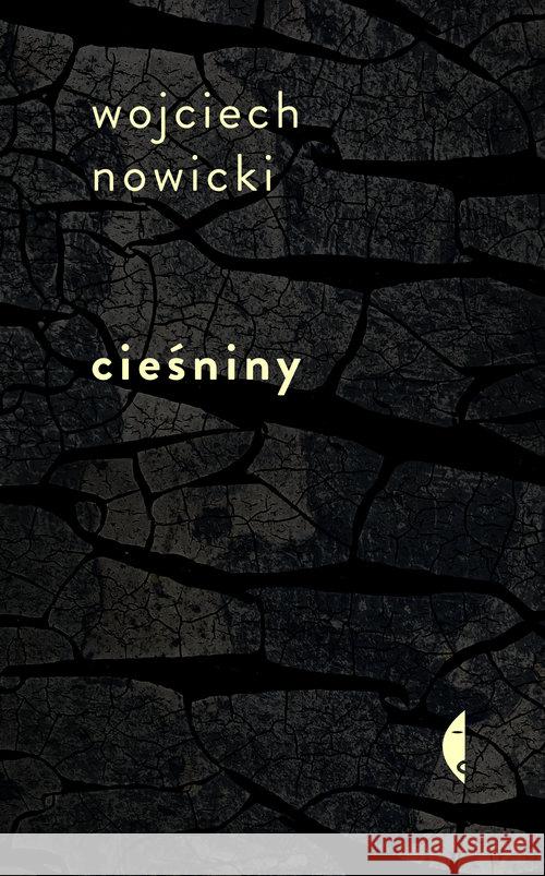 Cieśniny Nowicki Wojciech 9788380499133 Czarne - książka