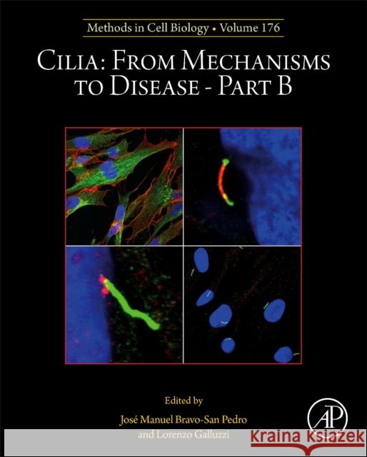 Cilia: From Mechanisms to Disease-Part B Jose Manuel Bravo-Sa Lorenzo Galluzzi 9780443185885 Academic Press - książka